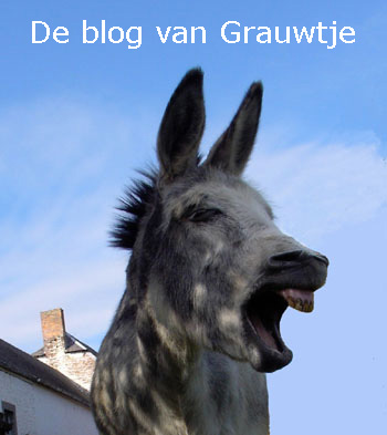 Laatste stuk: Agrippa von Nettesheim
